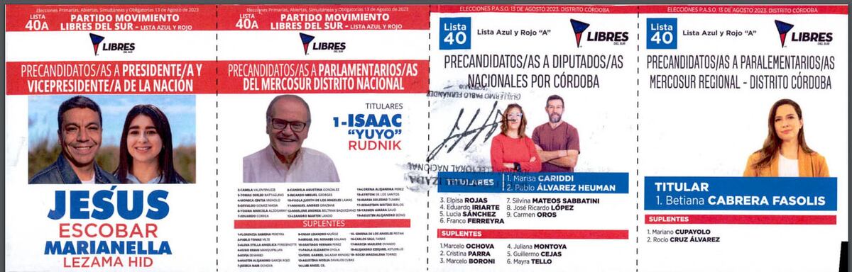 Elecciones Paso 2023 en Córdoba: boleta de Libres del Sur
