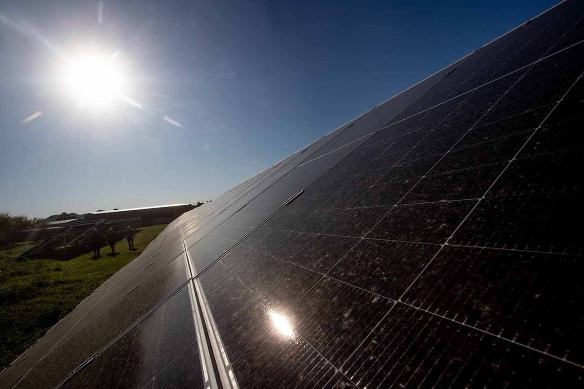 Energía solar. Se suman cooperativas eléctricas en Córdoba para generar con paneles ( La Voz)