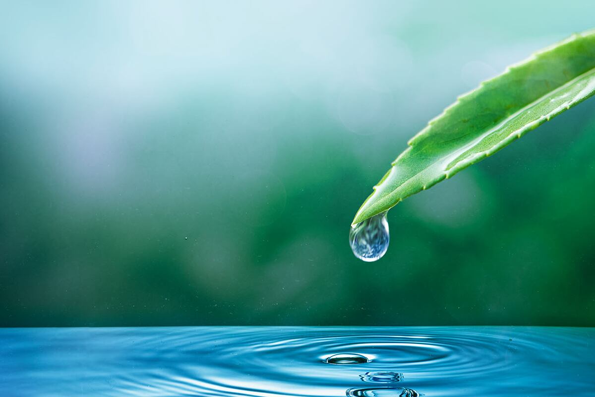 En julio de 2010, la Asamblea General de la ONU reconoció el derecho de todas las personas al agua y al saneamiento. Foto: Freepik / Aguas Cordobesas