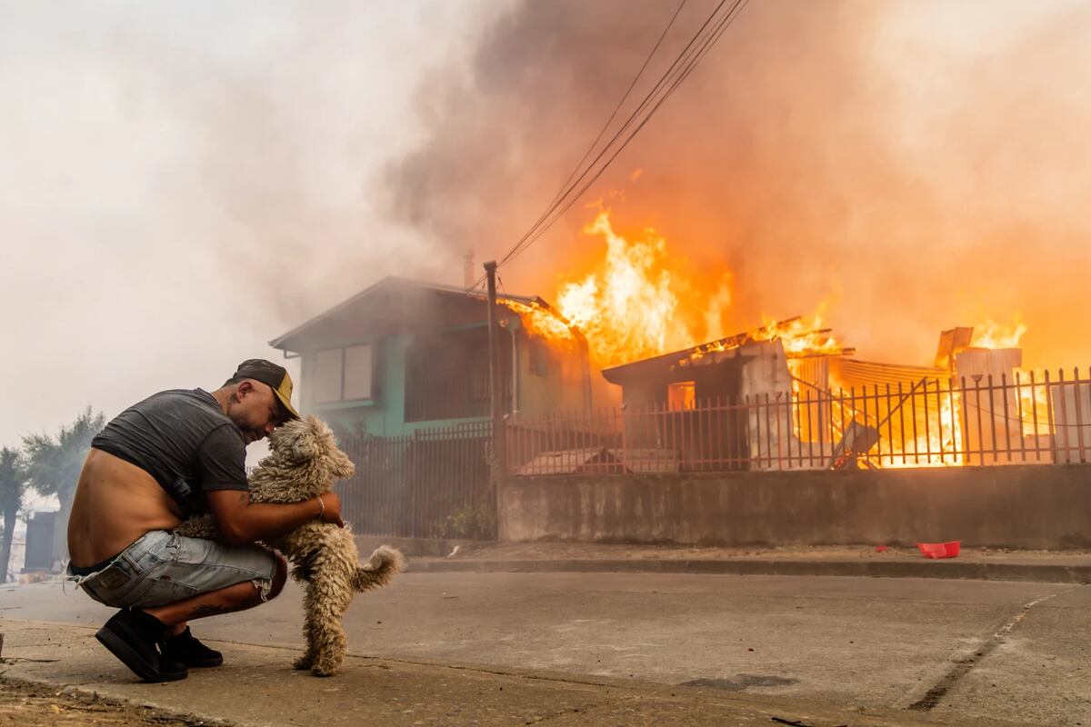 Una persona con su perro frente a una casa en llamas en Lirquen, Chile. 18 de enero 2026. (Foto: AP/ Javier Torres)