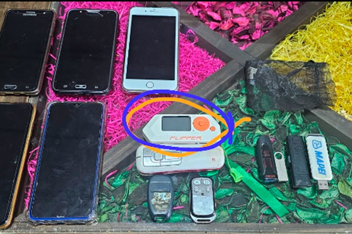 Flipper Zero. (Policía)