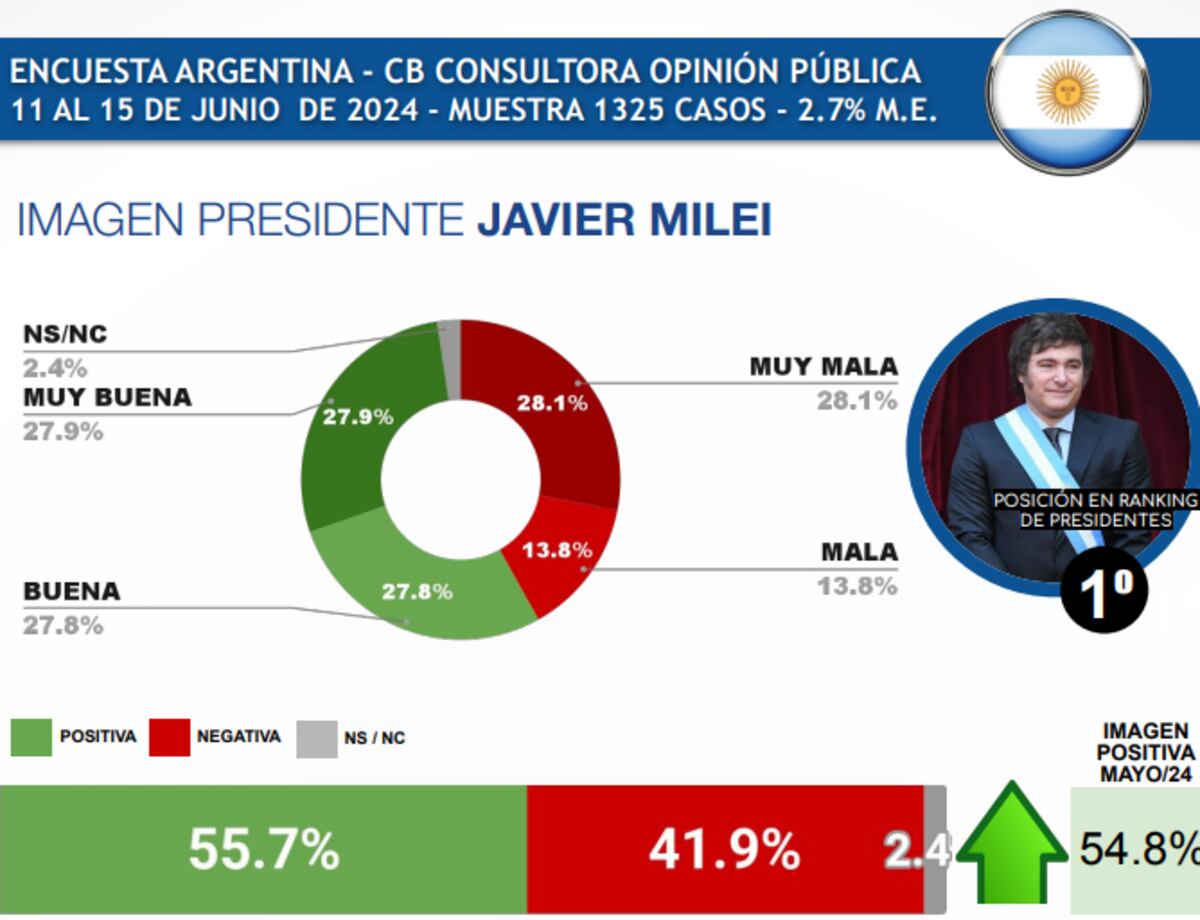 La imagen del presidente Javier Milei.