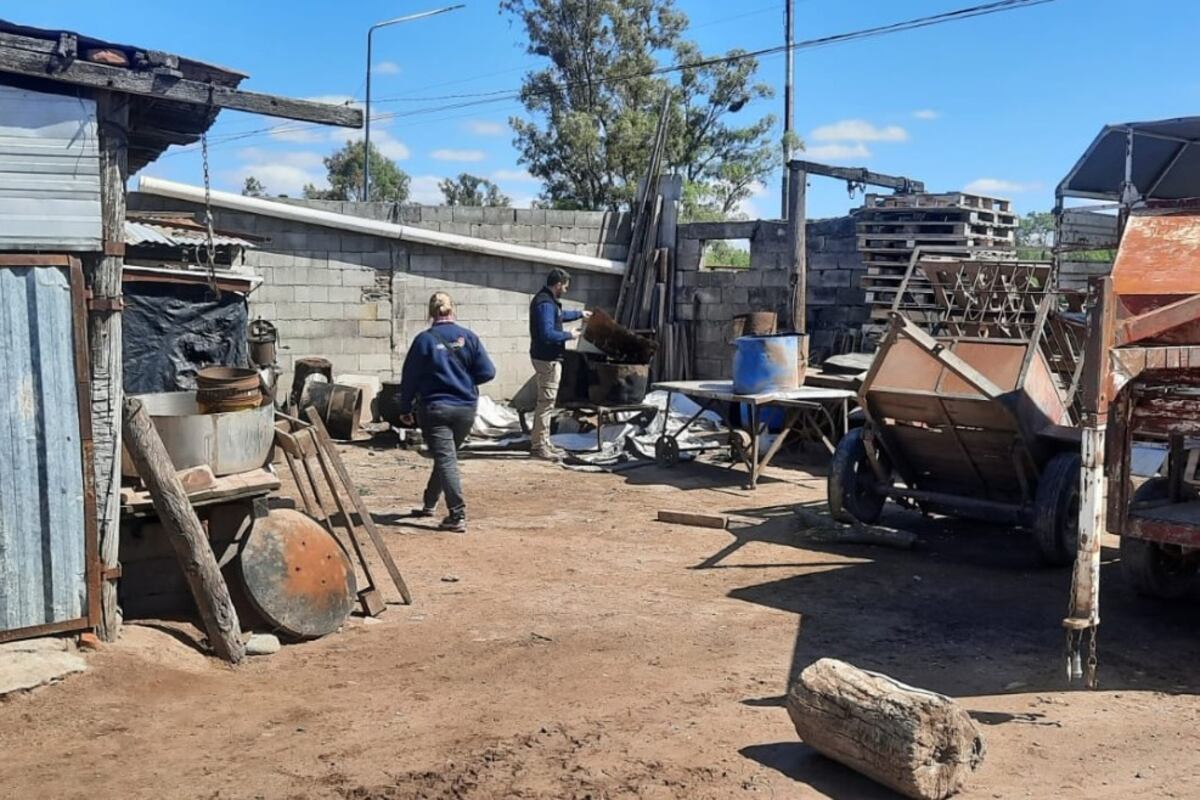 OPERATIVOS. Para realizar denuncias o consultas pueden ingresar a la plataforma digital o comunicarse al 0800 888 82476. (Gentileza Ministerio de Bioagroindustria)
