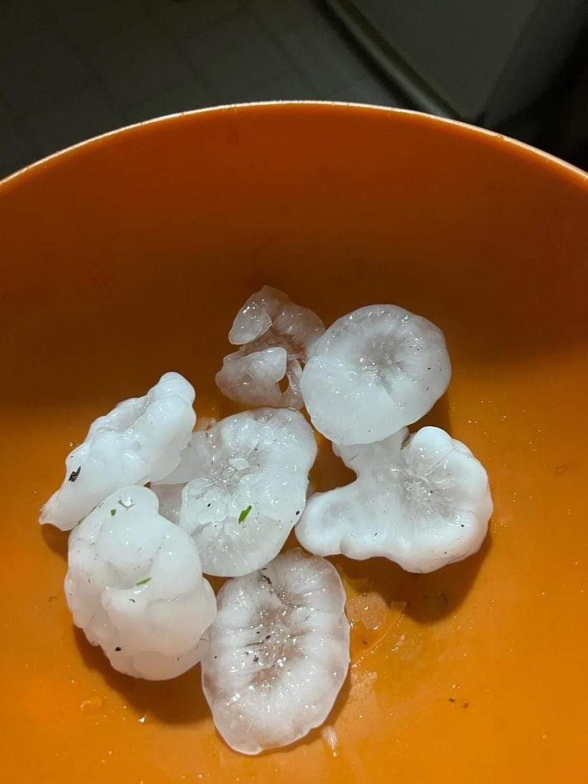 Temporal en distintos puntos del interior de Córdoba. (Gentileza)