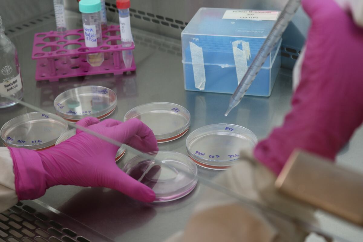 Un doctorado en Argentina demanda alrededor de 100 mil dólares en recursos del Estado. (FCQ)