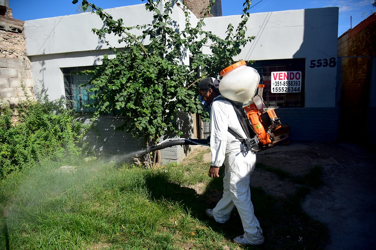 Se atacará al dengue en los domicilios, espacios públicos y privados de las ciudades. (Pedro Castillo / La Voz)