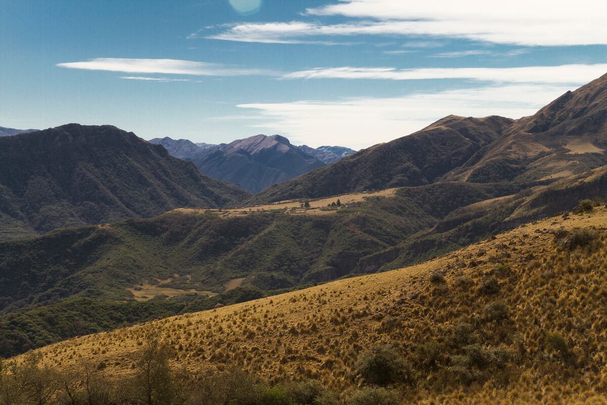 La provincia de Jujuy cuenta con destinos sorprendentes, como este camino a Alto Calilegua (Foto: Carla Cossentini)