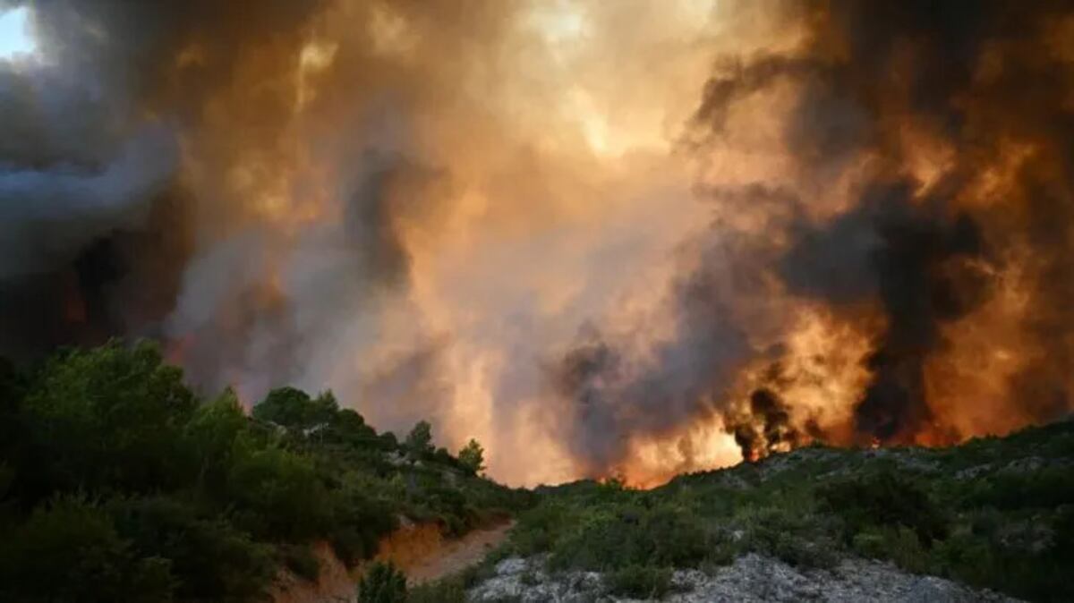 España: los incendios arrasaron más de 362 mil hectáreas en tres semanas (Gentileza)