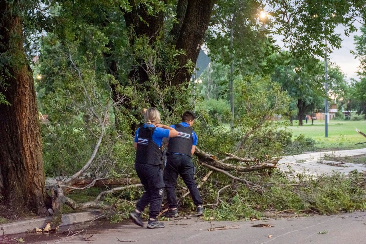 Después de la tormenta. Río Cuarto trabaja para volver a la normalidad (Gentileza).