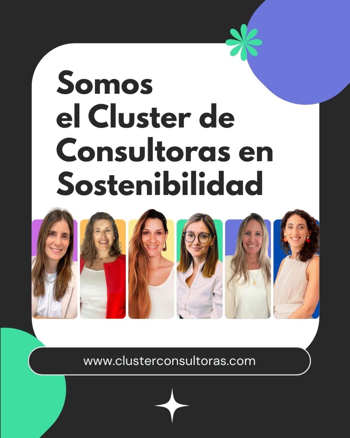 Cluster de Consultoras en Sostenibilidad.
