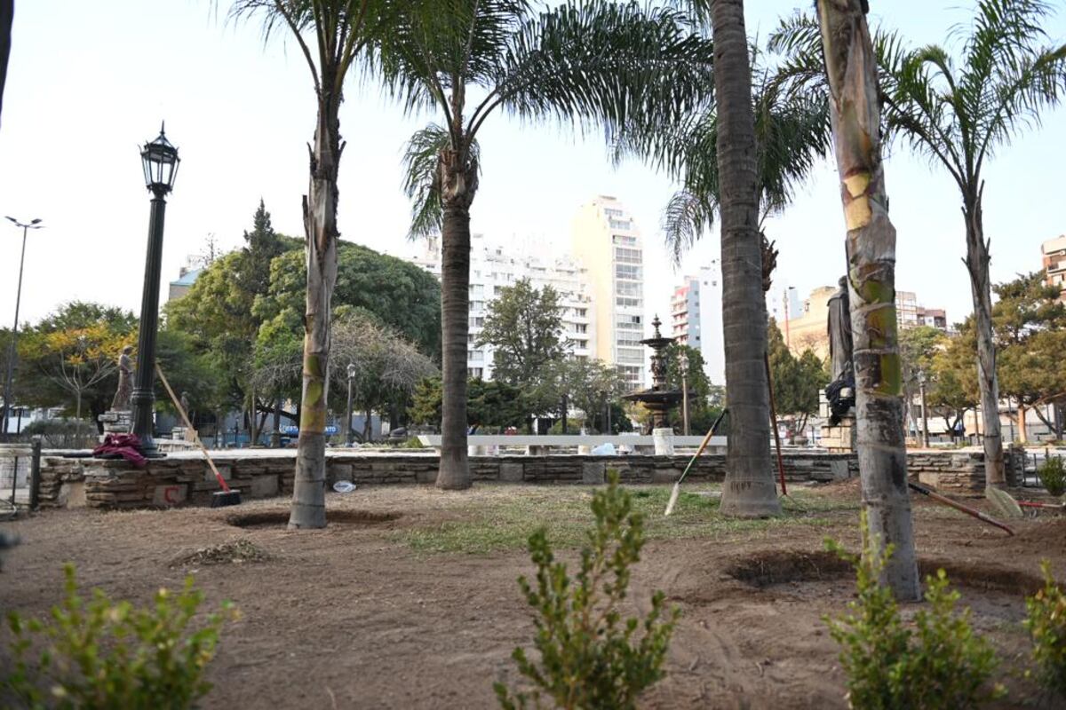Así avanzan los trabajos de remodelación de la Plaza Colón. La Municipalidad dio a conocer nuevas imágenes de este martes y la colocación de unos 40 árboles de gran porte. (Municipalidad de Córdoba)
