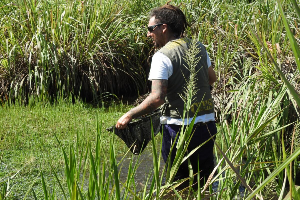 El hallazgo se realizó en la Reserva Natural de la Defensa Puerto Península, en Misiones. (Ministerio de Ambiente y Desarrollo Sostenible)