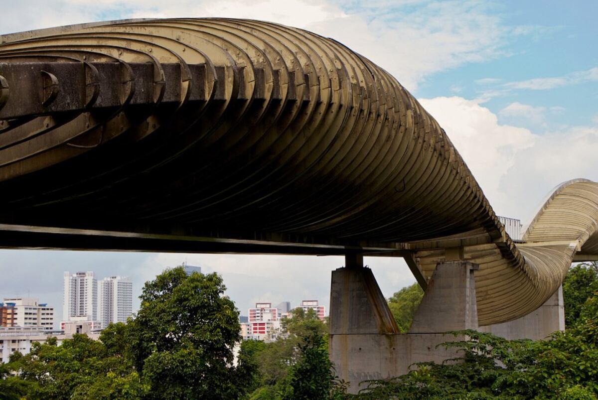 Los puentes más raros del mundo, que merecen una visita: Henderson Waves, Singapur. (Foto: Thowsandwonder.com)
