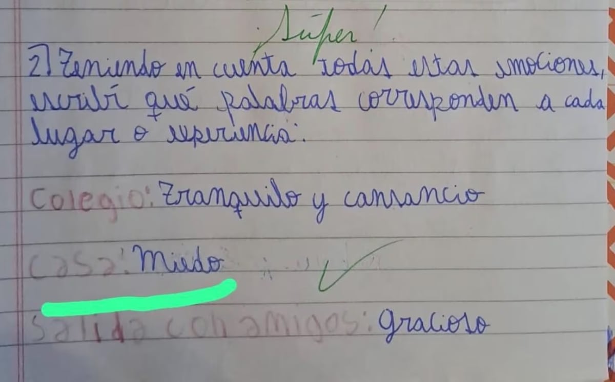 Los dibujos de Joaquín, el niño asesinado por su papá, que pasaron desapercibidos (Gentileza: TN)