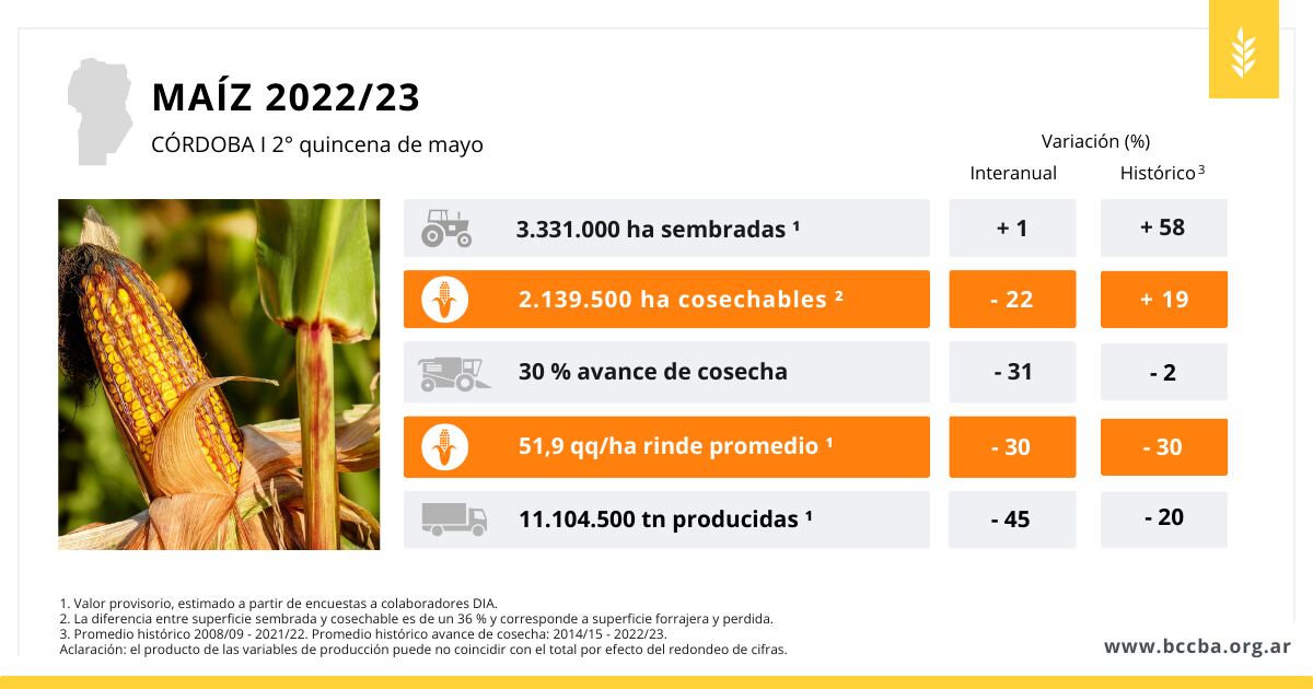soja mani sorgo maiz cordoba