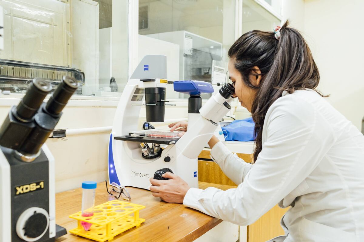 Científicos cordobeses crearon una guía y protocolo para el monitoreo de virus en aguas residuales. (InViv-UNC)