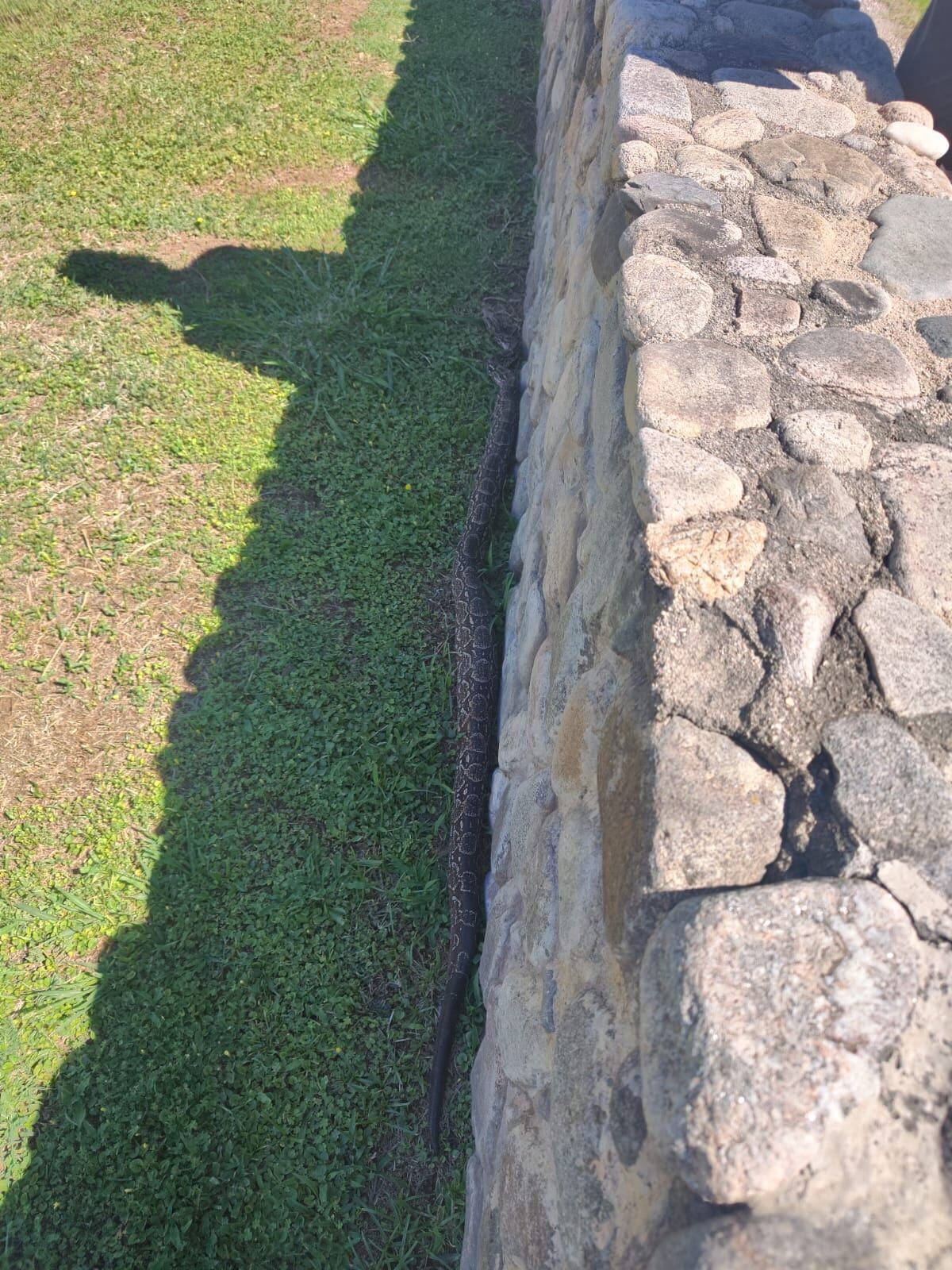 Pegada a la pared, así la encontraron. (Oscar Roldán)