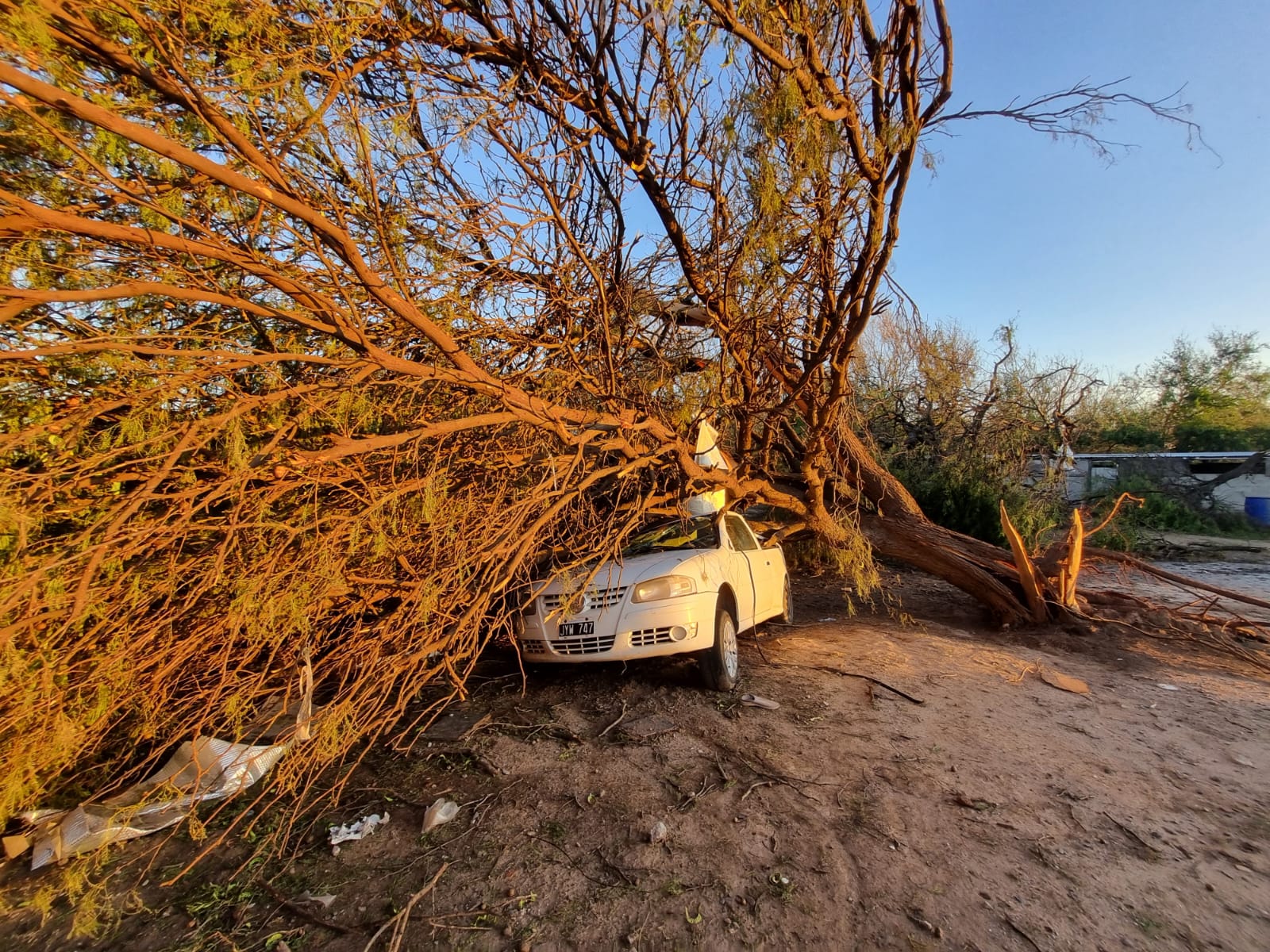 El auto que quedó destrozado por un árbol caido. Adentro, estaba una mujer que tuvo serias lesiones y que está aún internada. (Gentileza El Diario del Pueblo)