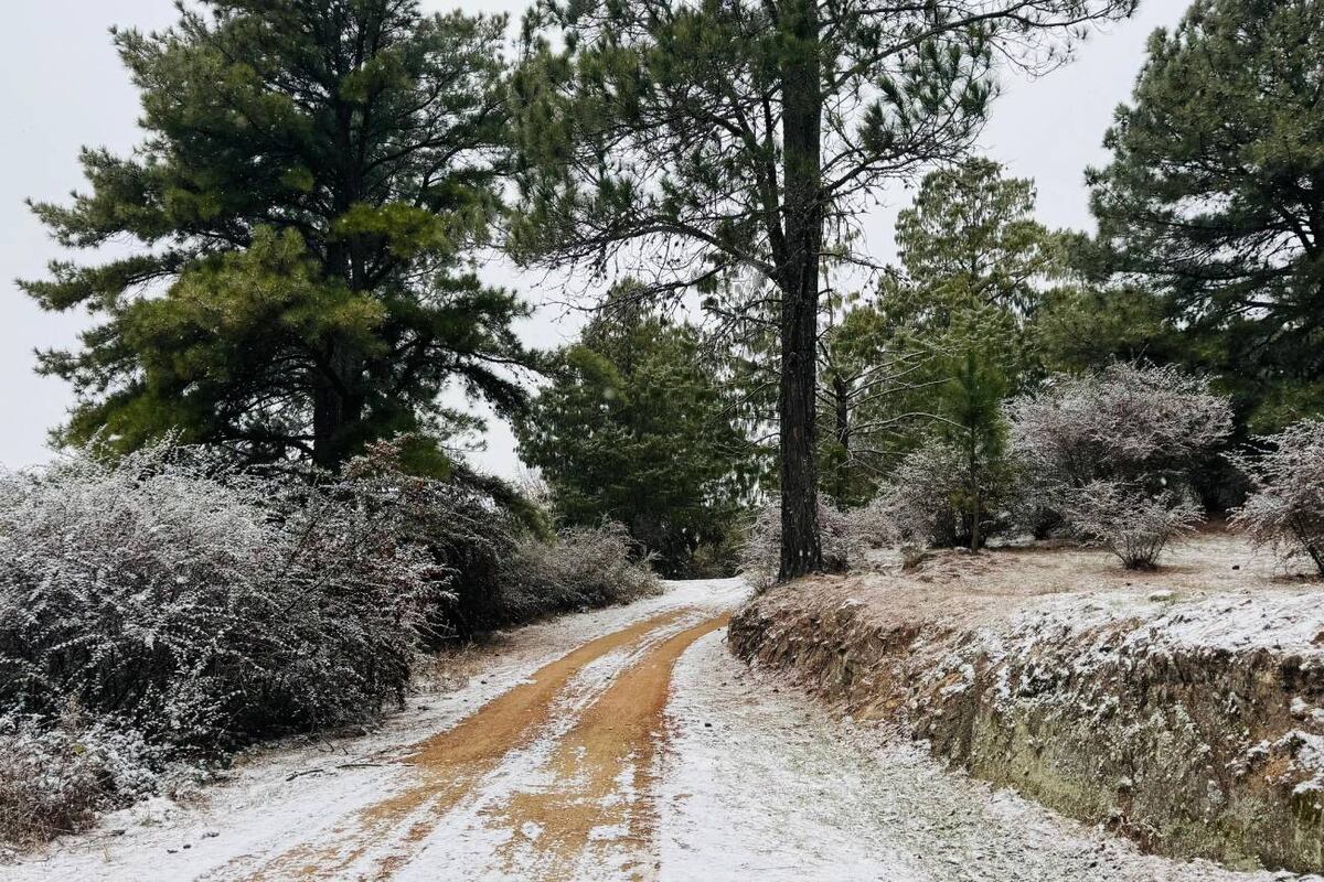 Nieve en La Cumbrecita, este domingo 29 de junio. (La Voz)