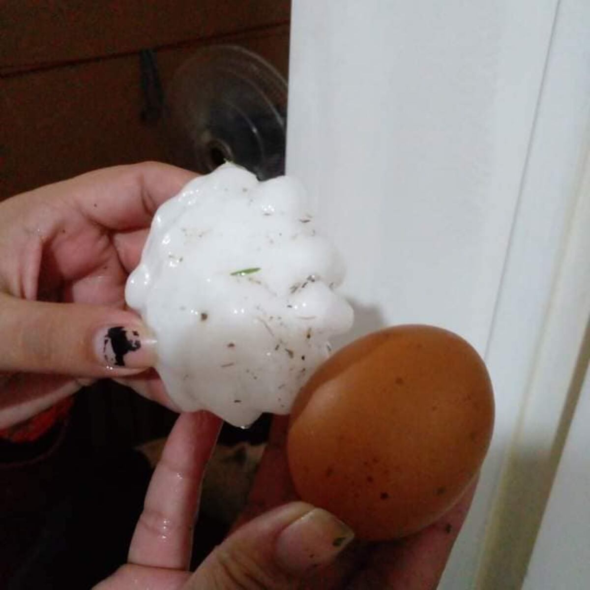 Destrozos en Villa Mercedes tras una fuerte pedrea. (Rtl Villa Yacanto de Calamuchita)