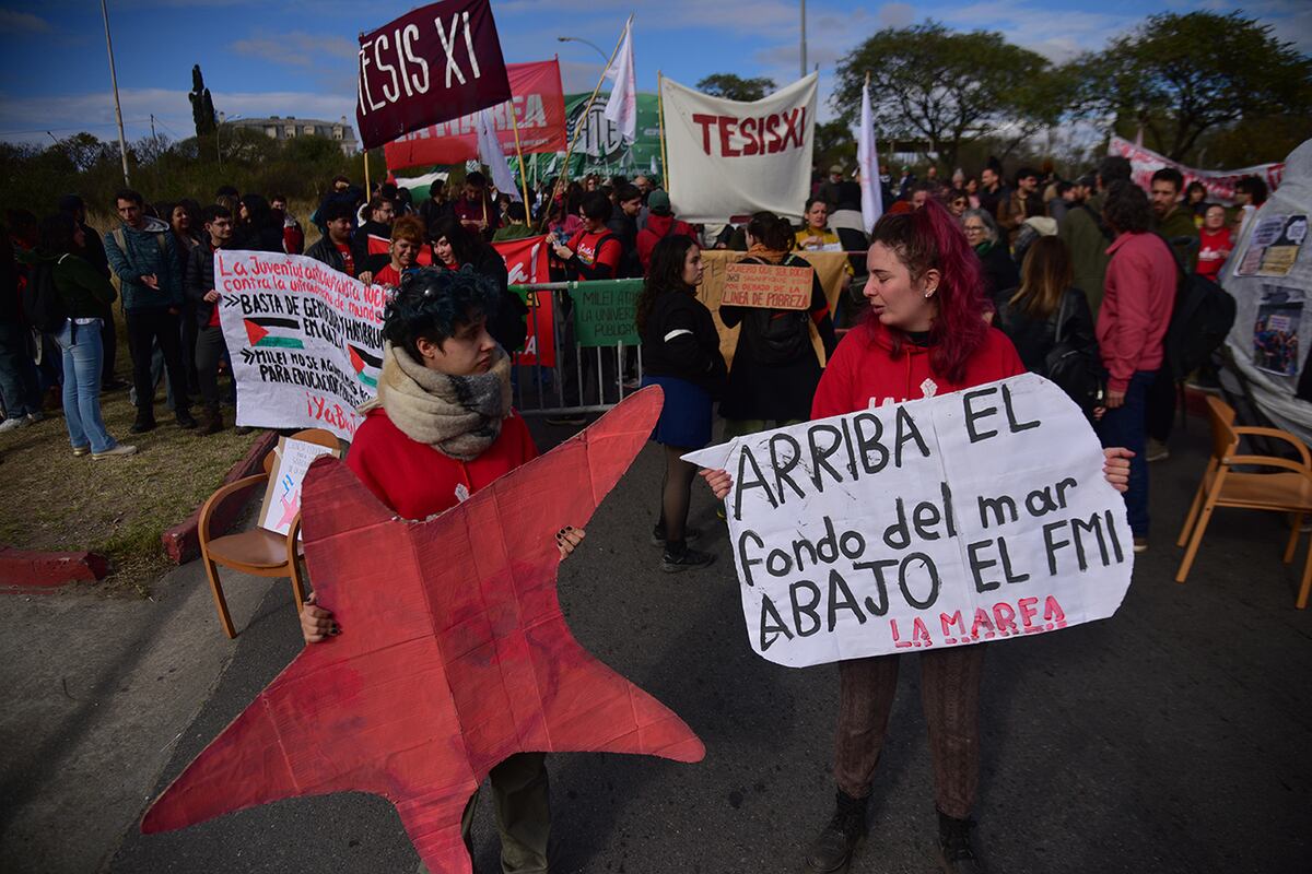 El Conicet se movilizó en Córdoba. (Pedro Castillo / La Voz)