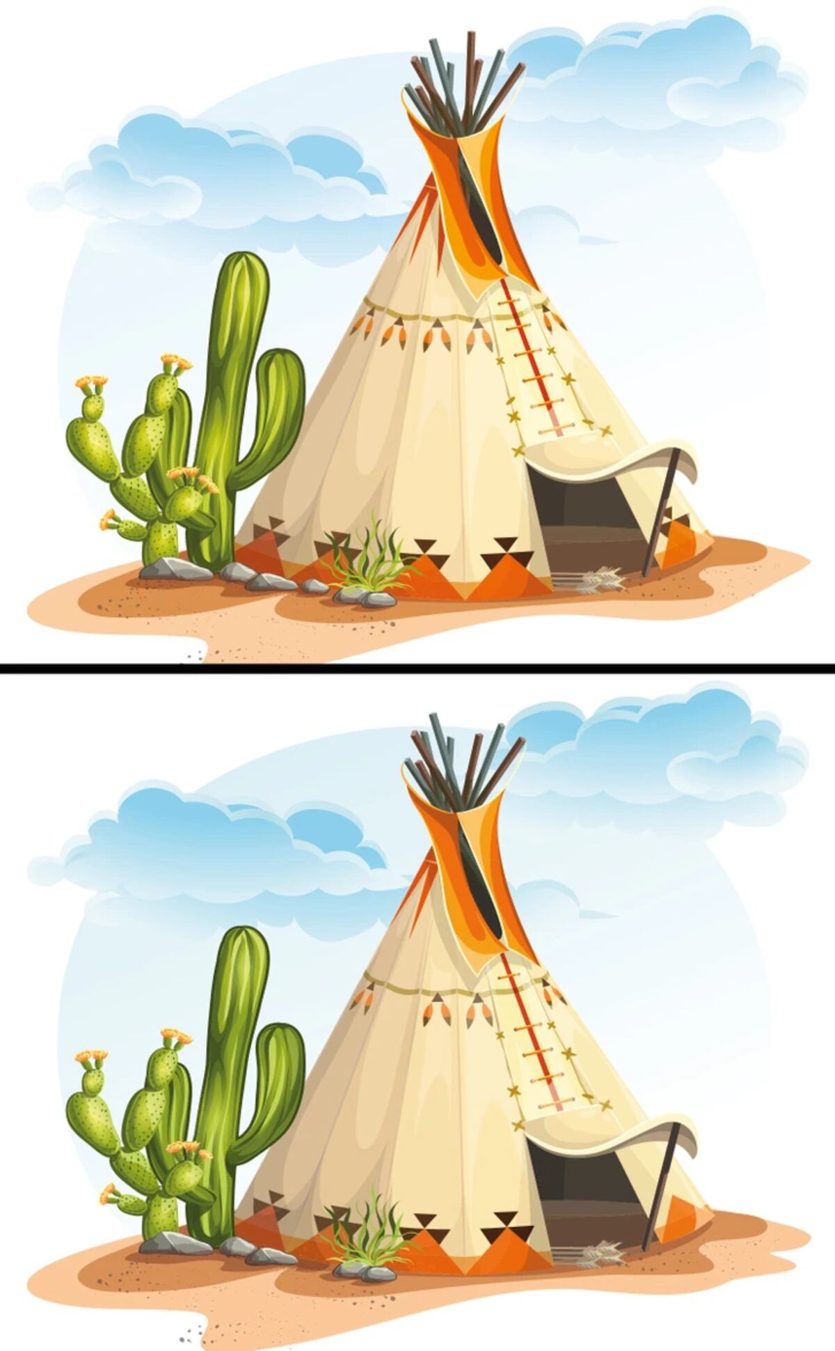 El acertijo visual.