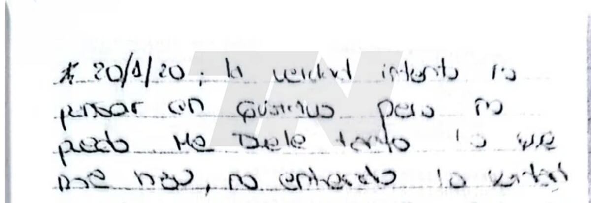 Millaray tenía 15 años cuando se quitó la vida en 2021 y una frase en su diario íntimo reveló los motivos de su drástica decisión. (Foto: gentileza Ayelén Cattani)
