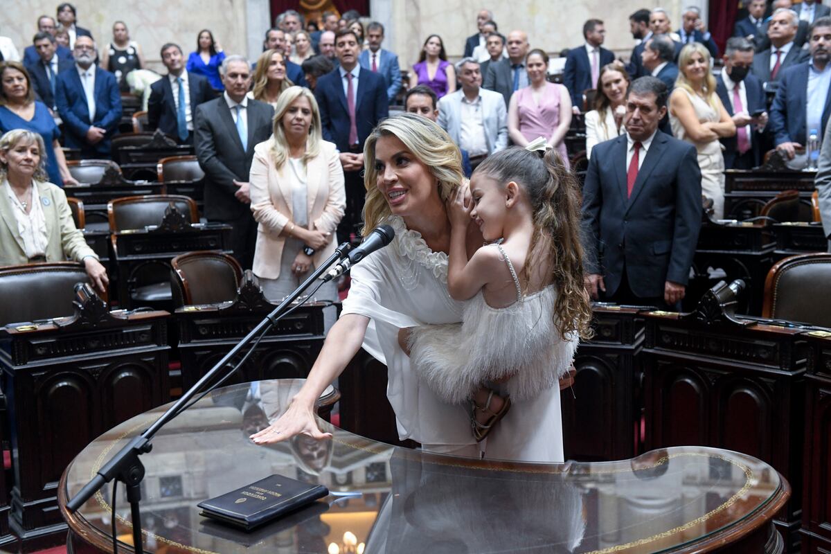 La exvedette Virginia Gallardo juró como diputada de La Libertad Avanza por Corrientes (Foto: HCDN)