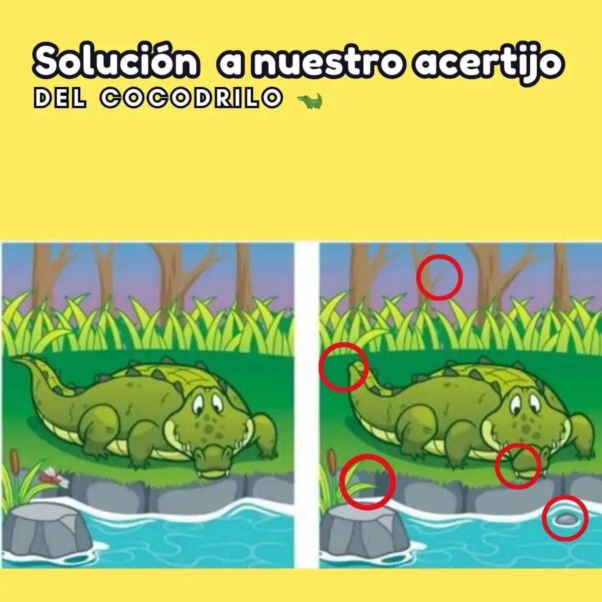 La solución del desafío.