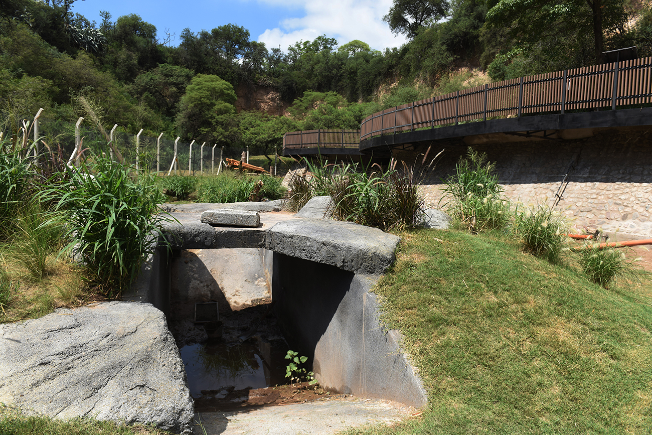 Parque de la Biodiversidad, ya está listo el recinto nuevo de los osos. (José Gabriel Hernández / La Voz)