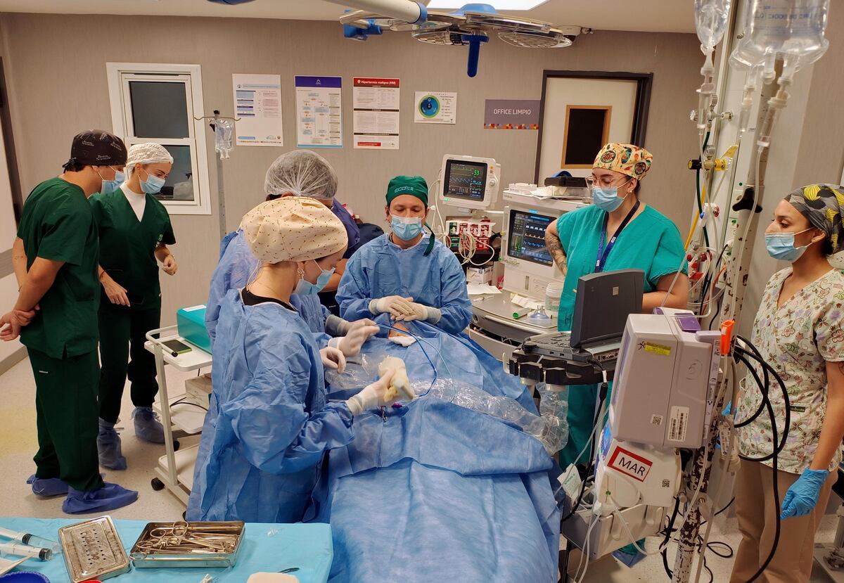 Realizaron la primera ablación con microondas en el Nuevo Hospital San Roque. (Gobierno de Córdoba)