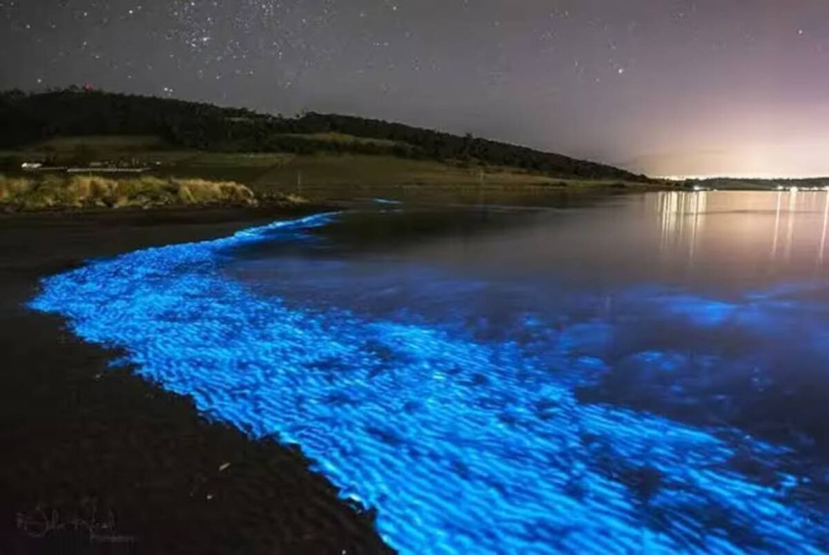 Fenómenos fluorecente llamado noctilucas en Punta del Este. (Foto: gentileza)