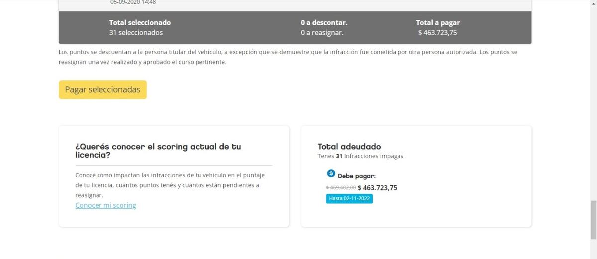 La deuda total de la patente es de más de 460 mil pesos. (Captura de pantalla).