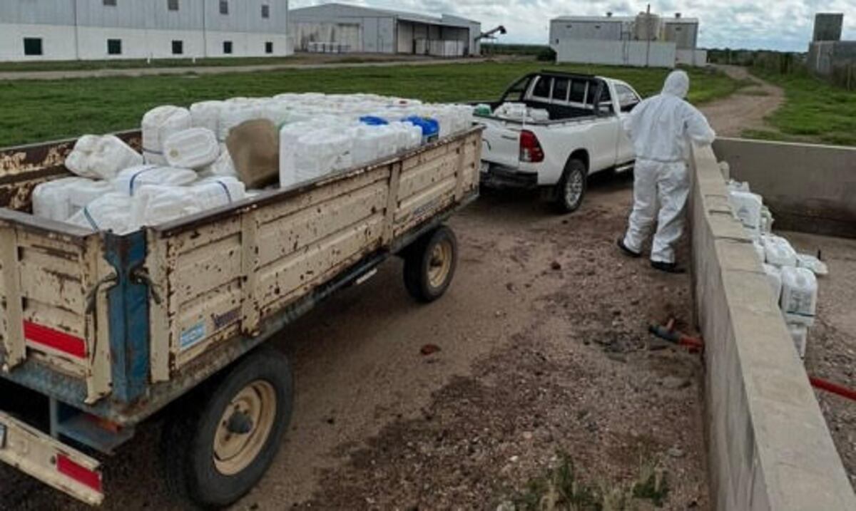 Envases vacíos de agroquímicos entran en una planta de tratamiento autorizada en Laboulaye. Las leyes especifican qué debe hacerse con esos desechos.