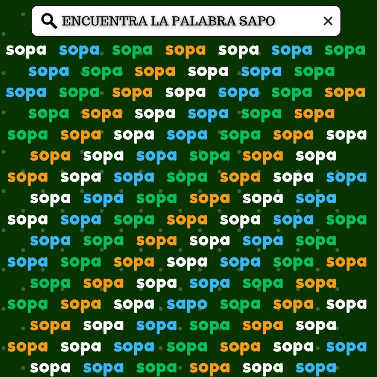 El acertijo visual.