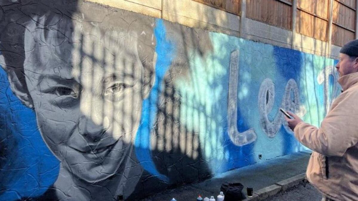 Leo Ross fue atacado brutalmente por otro adolescente que no conocía. (BBC)