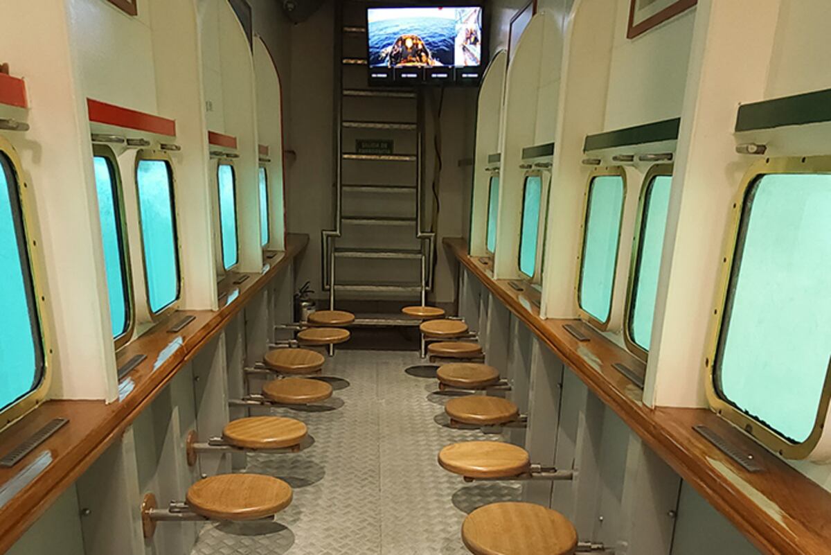 Tres días en Puerto Madryn, por los rincones más lindos junto al mar patagónico. En el Submarino Amarillo de Puerto Pirámides. (Foto: Daniel Santos)