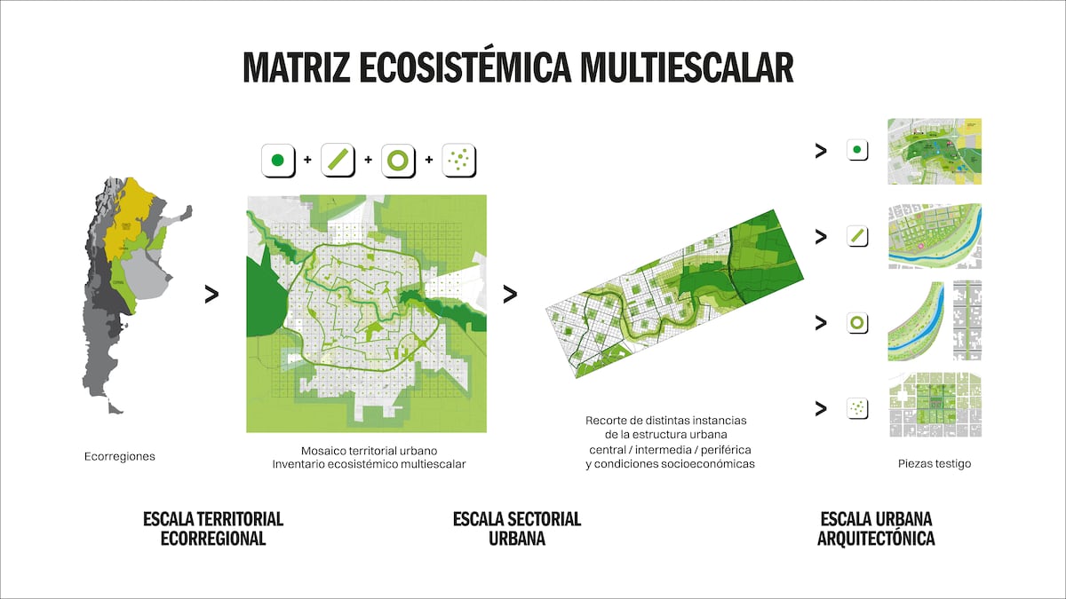 Proponen estrategias para favorecer el ambiente en la ciudad (Gentileza Camila Liandro).