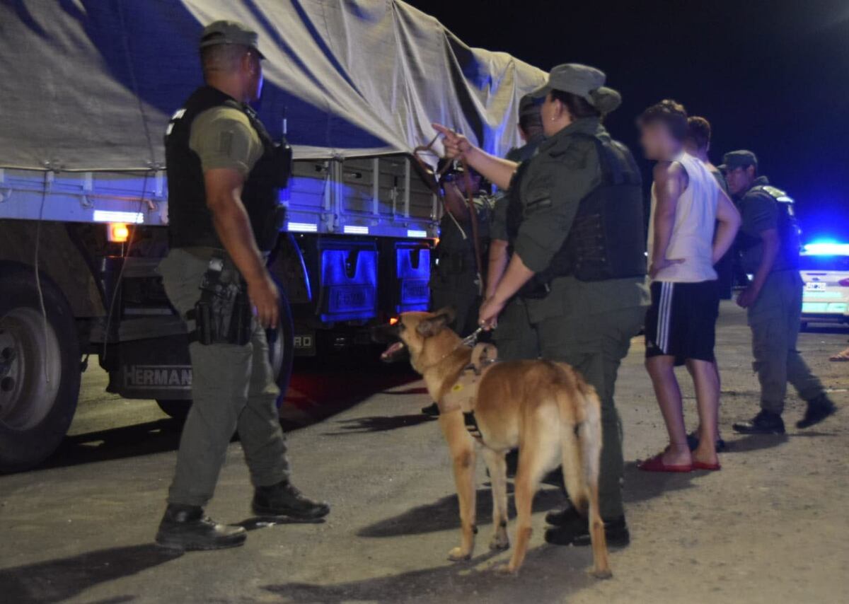 Hallazgo de cocaína en Rosario. (Gendarmería)