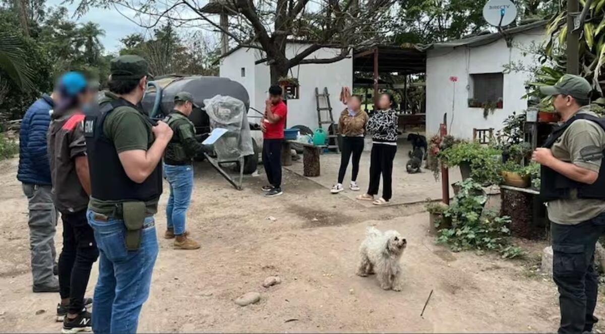 Detectaron una red de contrabando en la frontera con Bolivia. (Gentileza)