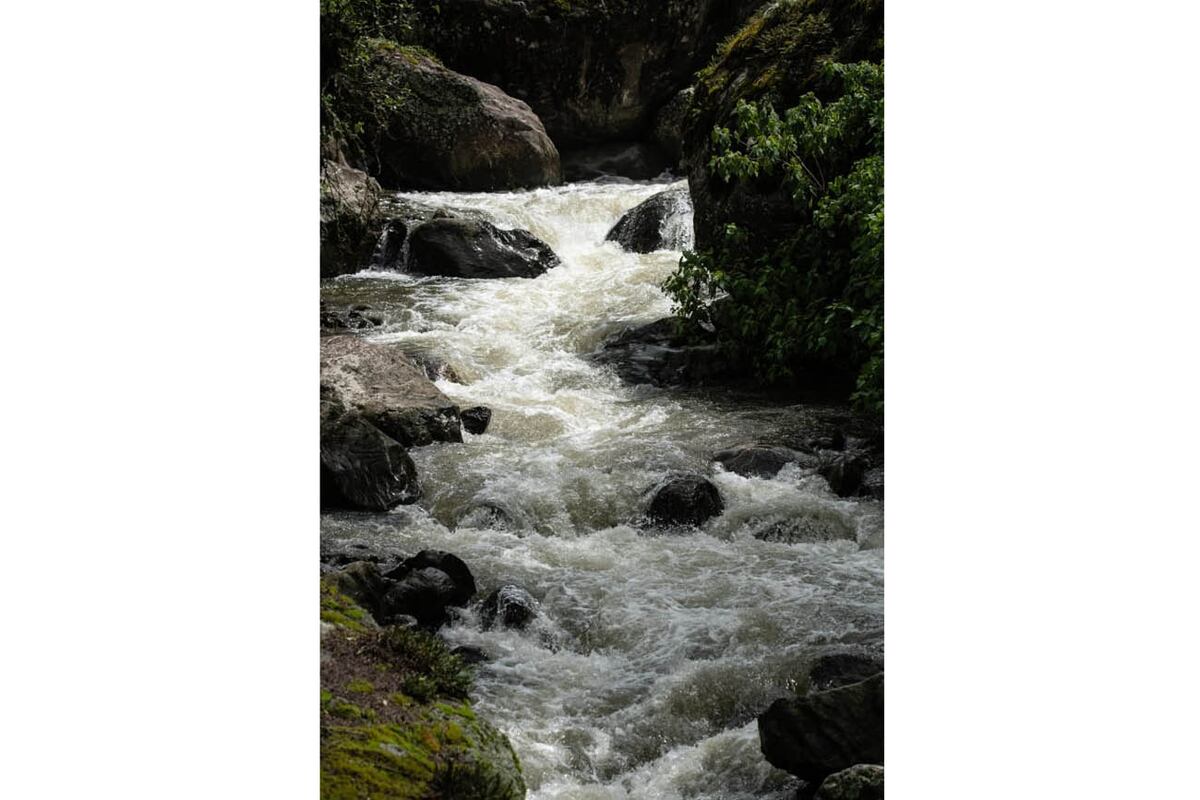 Arroyos, El agua forma parte de este enorme laboratorio que es la selva.