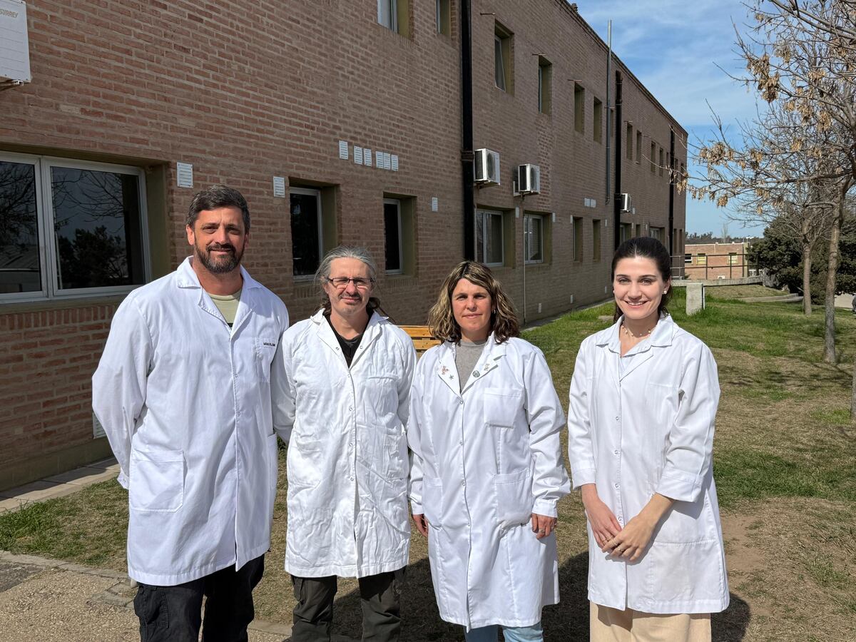 De izq a der: Matias Pellegrino, Horacio Mouguelar, Natalia Pereyra y Agustina Vasquetto, miembros del equipo de investigación de la UNRC. (Tomás Fragueiro / La Voz)
