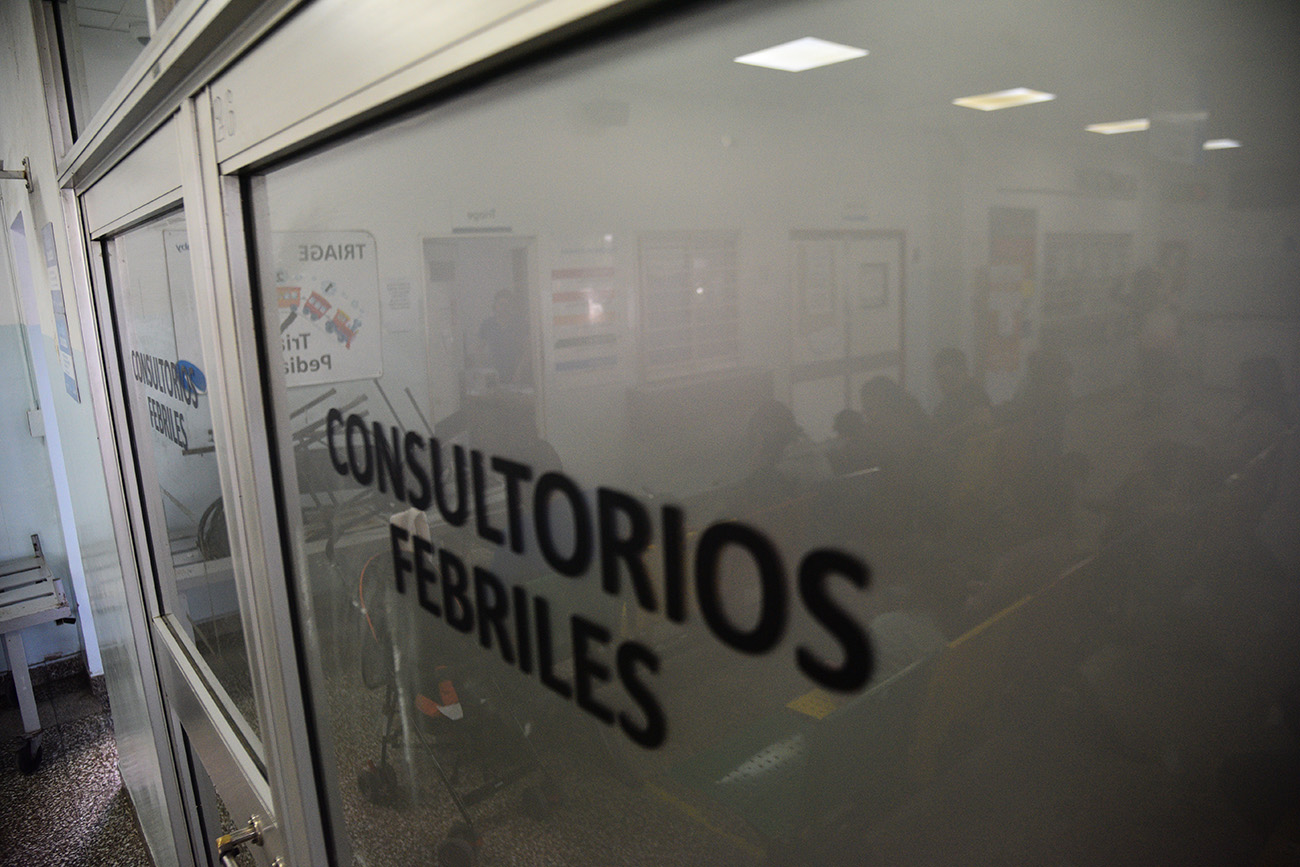 El virus sincicial es el que más circula (Pedro Castillo)