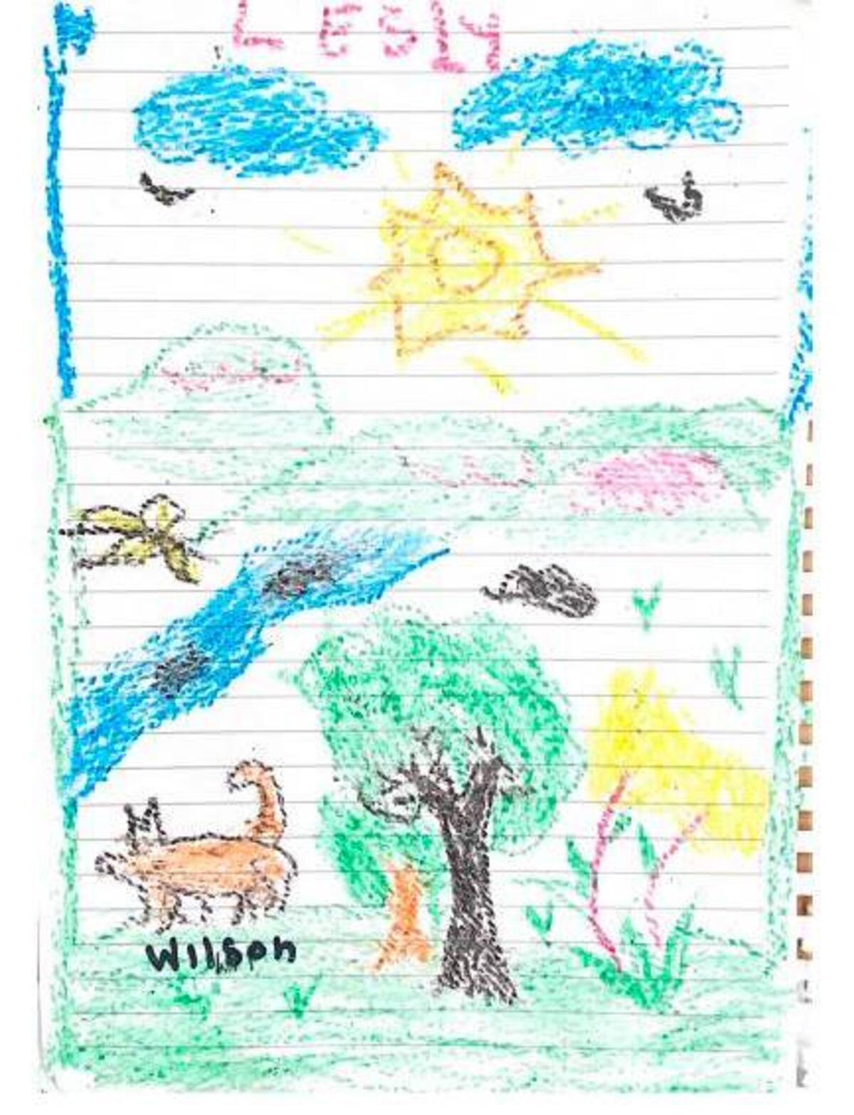 El dibujo de Lesly, de 13 años, para "Wilson", el perro rescatista que fue clave en el operativo. (El Colombiano)