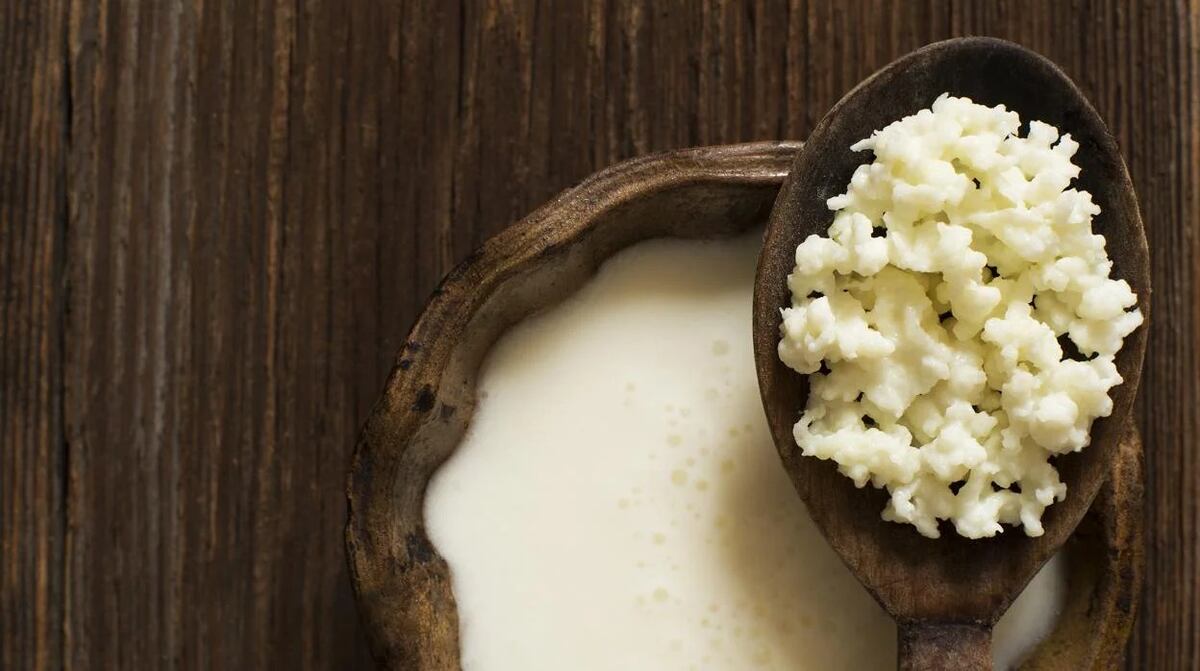 Kéfir en casa: cómo preparar la bebida probiótica ideal para refrescarse en verano