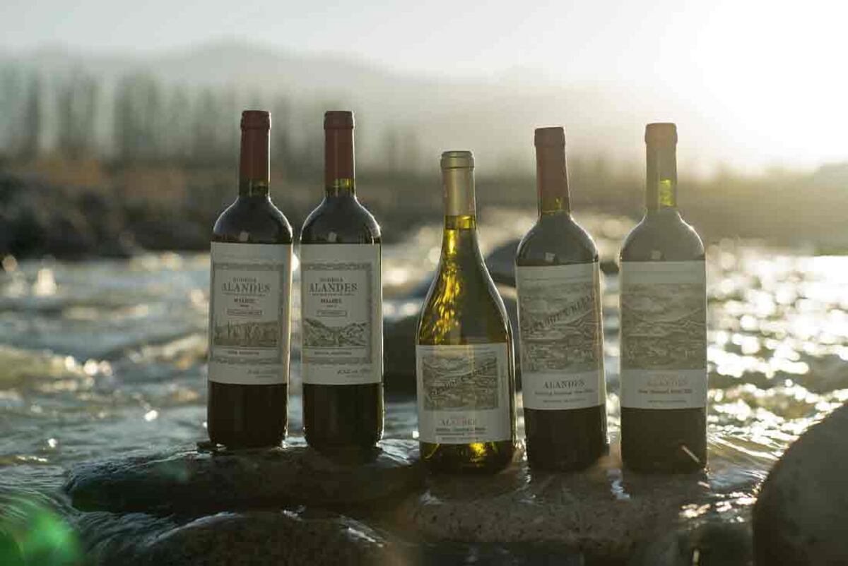 Alandes se sumó al portfolio de venta de Colosso Wines.
