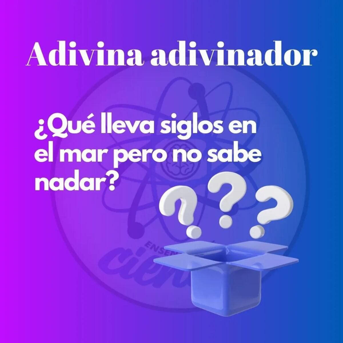 El acertijo visual.