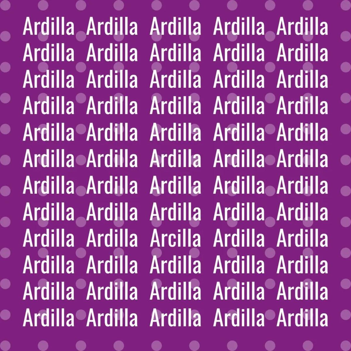 El acertijo visual.