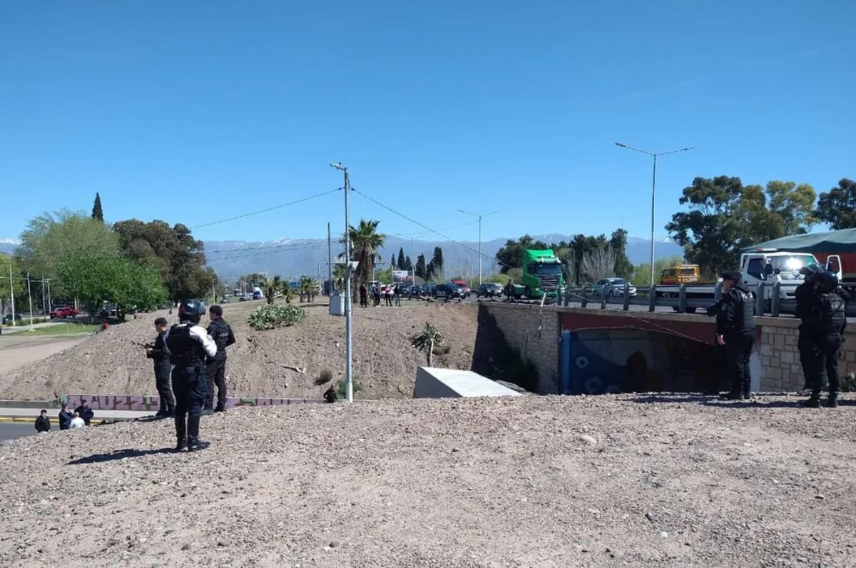 Camión con carne volcó en Mendoza. (Nicole Neme / Los Andes)