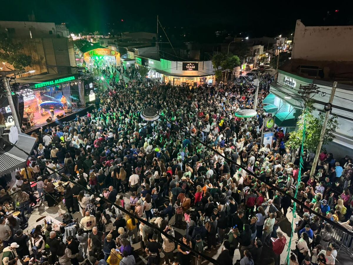 Festival Alienígena 2026: una multitud acudió a la primera noche en Capilla del Monte. (Foto: gentileza)